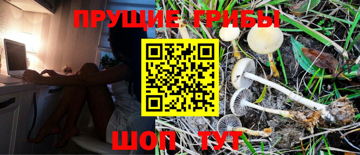 Галлюциногенные грибы Magic Shrooms Заринск