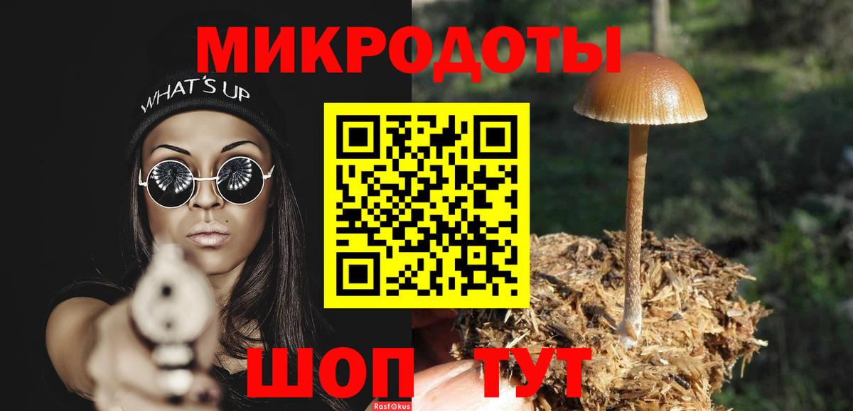 Заринск  Псилоцибиновые грибы ЛСД  даркнет сайт  Вход с VPN 